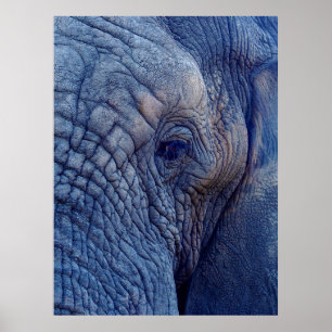 ERFAHREN SIE MIT DEN ELEFANTEN, WIE ES UM HUGGI GE POSTER