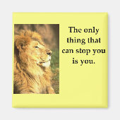 erfolg magnet (Vorne)