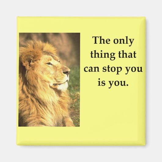 erfolg magnet (Vorne)