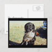 Erfolgreiche Jagd Postkarte (Vorne/Hinten)