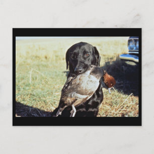 Erfolgreiche Jagd Postkarte