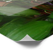 Erfolgreiches Weisheit Sprichwort Foto Poster (Ecke)