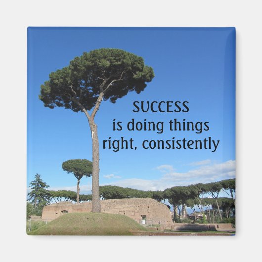 Erfolgsmotivation Magnet (Vorne)