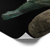 Erfolgsposter der Drachenschildkröte Poster (Ecke)