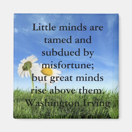 Erfolgsquote Magnet (Vorne)