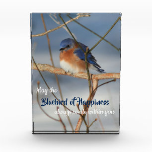 Erfolgsvogel, inspirierend fotoblock