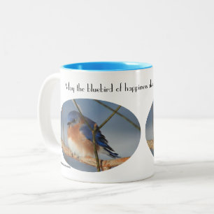 Erfolgsvogel, inspirierend zweifarbige tasse