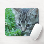 Erforschen Sie zuerst Mousepad (Mit Mouse)