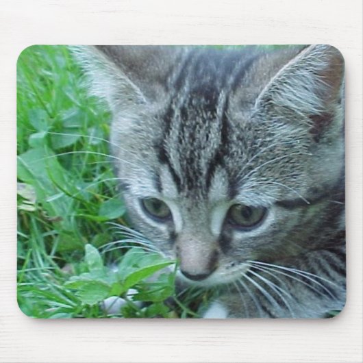 Erforschen Sie zuerst Mousepad (Vorne)