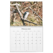 Erforschenkalifornien 2017 kalender (Feb 2026)