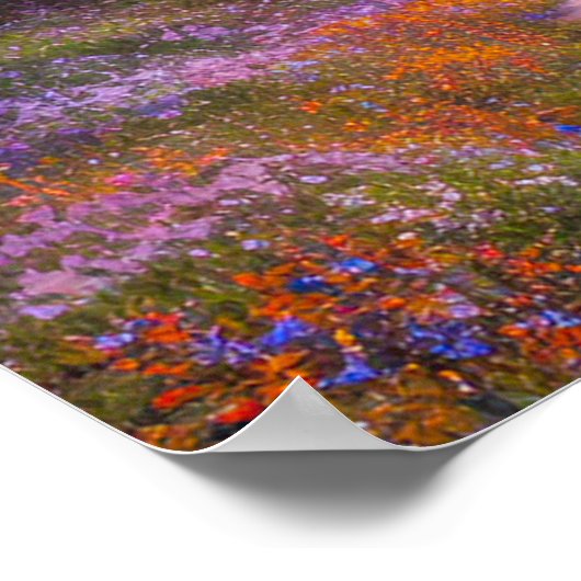 Erforschung des Bereichs der Blume Poster (Ecke)