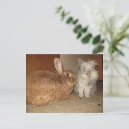 erfreuen postkarte (Stehend Vorderseite)