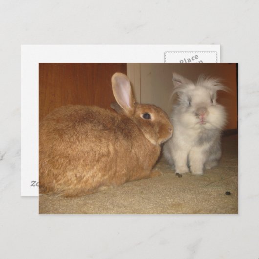 erfreuen postkarte (Vorne/Hinten)