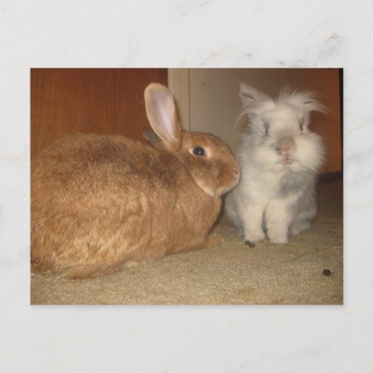 erfreuen postkarte (Vorderseite)