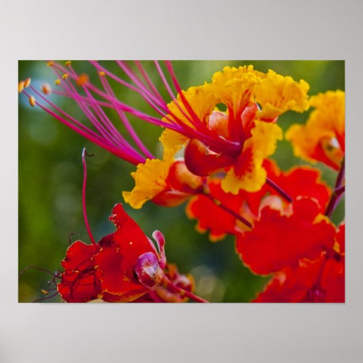 erfreulich poster (Vorne)