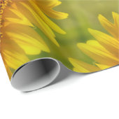 Erfreute Sonnenblumen.... Geschenkpapier (Rolleneckpunkt)