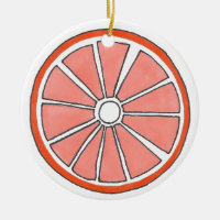 Erfrischend Florida Orange Citrus Fruit Slice