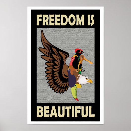 Erfrischende Vögel fliegen Poster (Vorne)