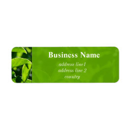 Erfrischender Frühling, grün im Sommer Blätter Adr