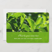 Erfrischender Frühling, Sommer grün Blätter das ga Einladung (Rückseite)