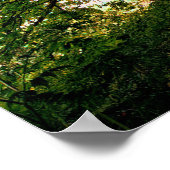 Erfrischender Naturbaum Sonnenlicht Whimsikales Fo Poster (Ecke)