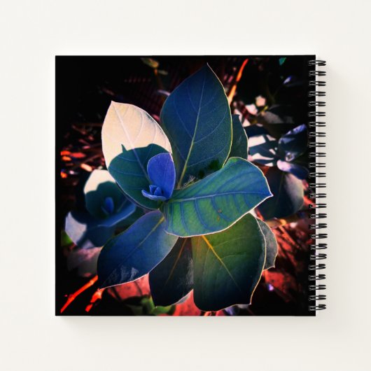 Erfrischung Notizblock (Rückseite)