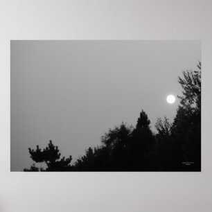 Erfüllung: Nature Zen/Tao Poster