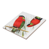 Ergatterter Lory Fliese (Seite)