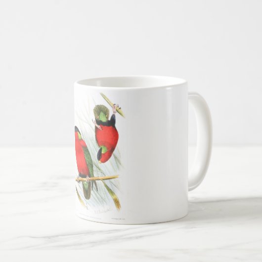 Ergatterter Lory Kaffeetasse (VorderseiteRechts)
