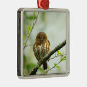 Ergatterter Pigmy Owlet, der auf Baumast hockt, Ornament Aus Metall (Rechts)
