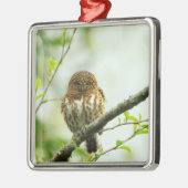 Ergatterter Pigmy Owlet, der auf Baumast hockt, Ornament Aus Metall (Links)