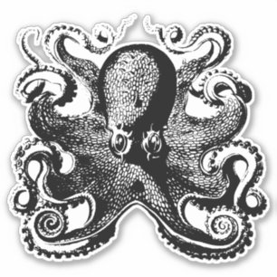 Ergreifung des Mystischen Ozeans - Oktopus Aufkleber