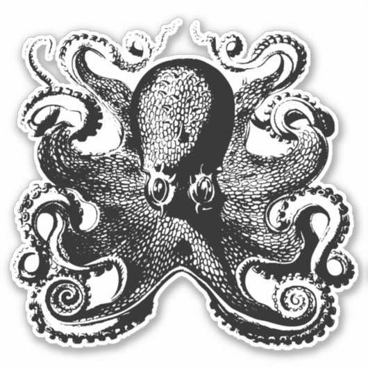 Ergreifung des Mystischen Ozeans - Oktopus Aufkleber (Vorderseite)