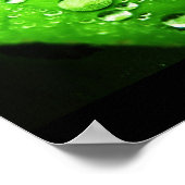 Ergreifung des Regens Poster (Ecke)