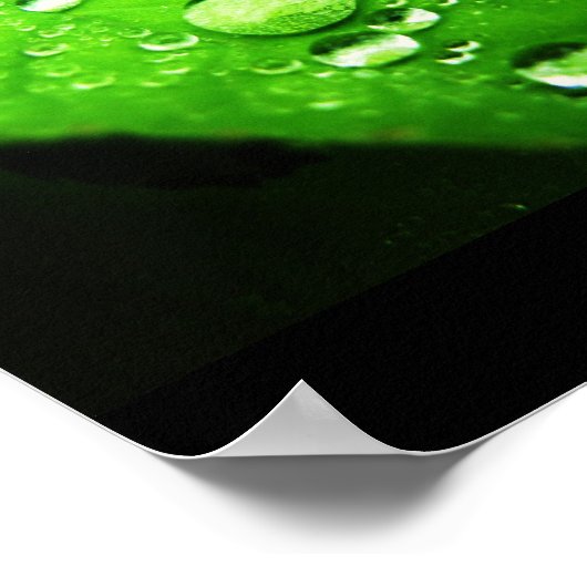 Ergreifung des Regens Poster (Ecke)