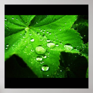 Ergreifung des Regens Poster