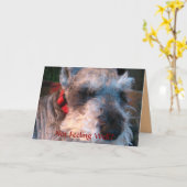 Erhalten Sie Brunnen bald, hoffnungsvoll Karte (Gelbe Blume)