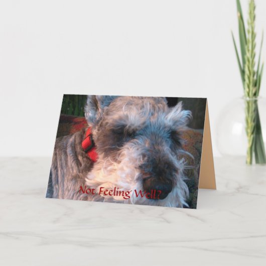 Erhalten Sie Brunnen bald, hoffnungsvoll Karte (Vorderseite)