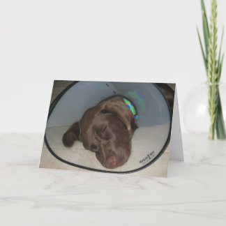 Erhalten Sie gut bald Karte