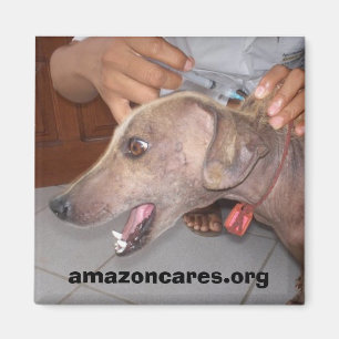 Erhalten Sie gut bald!  Magnet