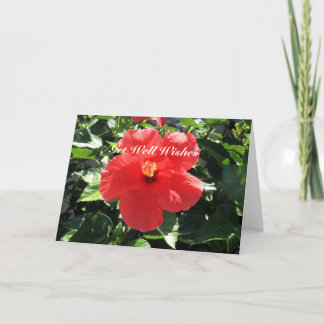 erhalten Sie gut Karte