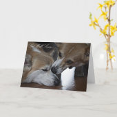 Erhalten Sie wohle bald Gruß-Karte Karte (Gelbe Blume)