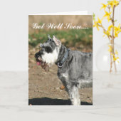 Erhalten Sie wohle bald Schnauzerhundegrußkarte Karte (Gelbe Blume)