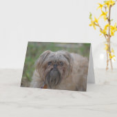 Erhalten Sie wohlen Karte-Spaß/unhöflich Karte (Gelbe Blume)