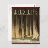 Erhaltung des wild lebenden Lebens Postkarte (Vorne/Hinten)