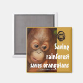 Erhaltung Magnet (Vorderseite/Rückseite)