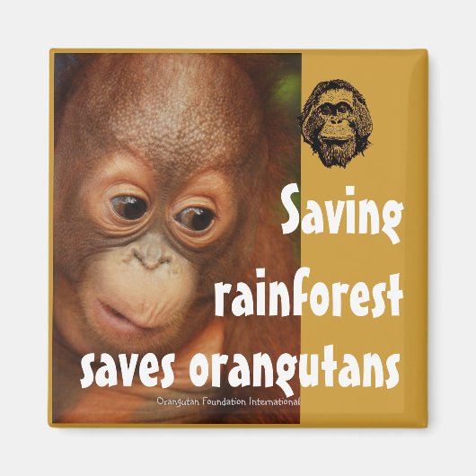 Erhaltung Magnet (Vorne)