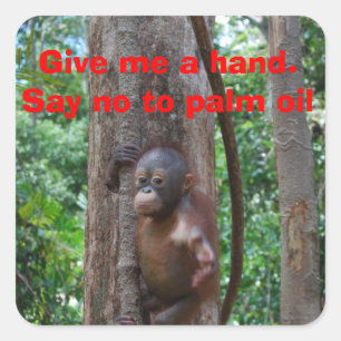 Erhaltungs-Natur Quadratischer Aufkleber