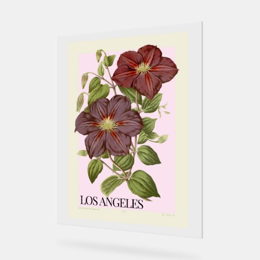 Erhöhen Sie Ihre Dekoration mit Blume LOS ANGELES (Winkel)