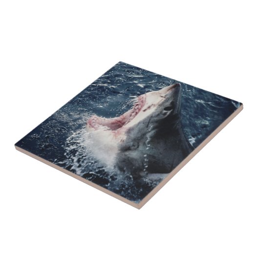 Erhöhte Schornsteine Fliese (Seite)